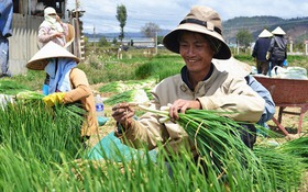Khen thưởng thành tích xuất sắc trong trào thi đua “Toàn dân chung sức xây dựng nông thôn mới”