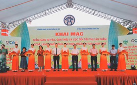 Nhiều hoạt động xúc tiến thương mại, giới thiệu sản phẩm OCOP, nông sản và sản phẩm làng nghề