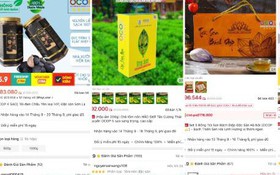Triển khai Chương trình 