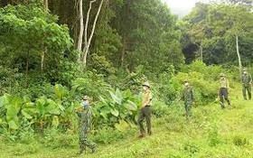 Công bố Danh mục thủ tục hành chính nội bộ lĩnh vực Lâm nghiệp và Kiểm lâm