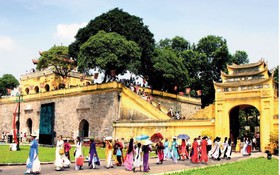Kế hoạch tổ chức 