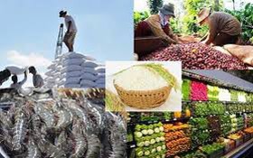 Ủy quyền giải quyết TTHC lĩnh vực Quản lý chất lượng nông lâm sản và thủy sản