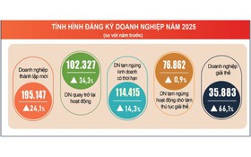 Báo cáo tình hình Kinh tế - xã hội tháng quý IV và năm 2025 của Cục Thống kê