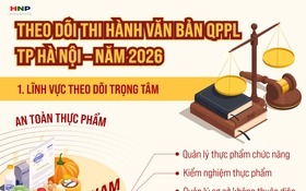 Theo dõi việc thi hành văn bản QPPL về an toàn thực phẩm và đầu tư, kinh doanh