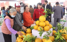 Đưa sản phẩm làng nghề, hình ảnh quê hương Đông Anh đến du khách