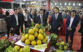 Không gian Xuân hội tụ đặc sản vùng miền tại Minh Châu