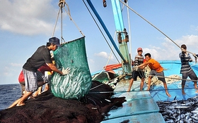 Tăng cường bảo vệ nguồn lợi thủy sản