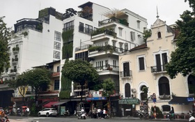 Thành lập Ban Chỉ đạo, Tổ giúp việc rà soát hiện trạng, tình hình quản lý quỹ nhà, đất