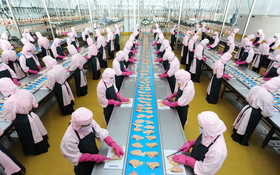 Triển khai thực hiện Kế hoạch về quản lý giết mổ, vận chuyển, kinh doanh động vật và sản phẩm động vật