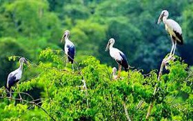 Công bố danh mục thủ tục hành chính lĩnh vực Bảo tồn thiên nhiên và đa dạng sinh học