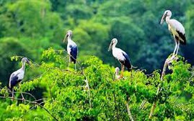 Ủy quyền giải quyết TTHC thuộc lĩnh vực về bảo vệ môi trường, bảo tồn thiên nhiên