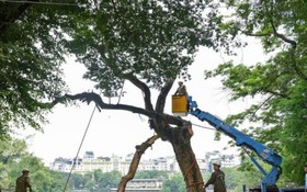 Phê duyệt quy trình nội bộ, quy trình điện tử giải quyết thủ tục hành chính trong lĩnh vực Hạ tầng kỹ thuật