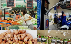 Tin tổng hợp tháng 3/2026 – Lĩnh vực Tài chính công