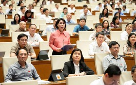 Đại biểu Quốc hội quan tâm, thảo luận các quy định về giáo dục, y tế trong Luật Thủ đô (sửa đổi)