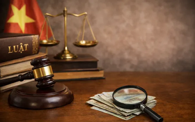 Triển khai thi hành Luật sửa đổi, bổ sung một số điều của Luật Tiếp công dân, Luật Khiếu nại, Luật Tố cáo và Luật sửa đổi, bổ sung một số điều của Luật Phòng, chống tham nhũng