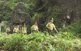 Công bố thủ tục hành chính nội bộ mới và bãi bỏ lĩnh vực Lâm nghiệp và Kiểm lâm