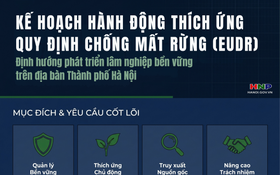 Hành động thích ứng với quy định chống mất rừng và suy thoái rừng