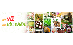 Triển khai thực hiện Chương trình Mỗi xã một sản phẩm