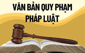 Tổng rà soát hệ thống văn bản quy phạm pháp luật do Thành phố ban hành