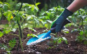 Tăng cường công tác quản lý, điều hành và bình ổn giá