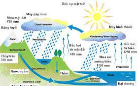 Công bố danh mục thủ tục hành chính lĩnh vực Khí tượng thủy văn