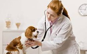 Công bố thủ tục hành chính nội bộ mới và bãi bỏ lĩnh vực Thú y và Thủy sản