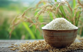 Hỗ trợ hơn 65 tấn gạo cho học sinh Trường Phổ thông Dân tộc nội trú