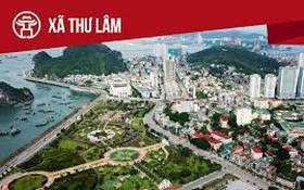 Tặng danh hiệu Cờ thi đua của UBND Thành phố cho 02 tập thể thuộc xã Thư Lâm