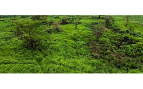 Năm 2026, dự kiến tổ chức đấu giá 306 dự án, khu đất