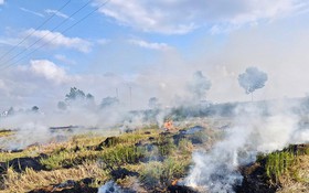 Triển khai quyết liệt các biện pháp nhằm chấm dứt tình trạng đốt rơm rạ