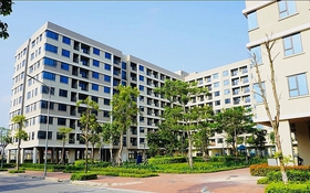 Giao 16.060m2 đất cho Công ty cổ phần Đầu tư Lạc Hồng để thực hiện Dự án Đầu tư xây dựng nhà ở