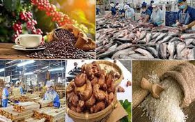Phê duyệt phương án tái cấu trúc thủ tục hành chính lĩnh vực Xúc tiến thương mại