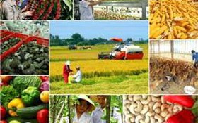 Công bố danh mục thủ tục hành chính lĩnh vực Trồng trọt và Bảo vệ thực vật