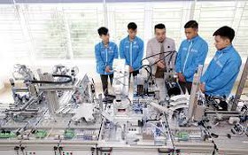 Công bố danh mục thủ tục hành chính lĩnh vực Lao động, Tiền lương