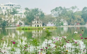 Tăng cường bảo đảm trật tự đô thị, vệ sinh môi trường, trang trí nghệ thuật tại các không gian công cộng và vườn hoa