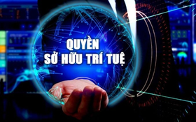 Thành lập Tổ công tác liên ngành chỉ đạo triển khai các giải pháp đấu tranh, ngăn chặn, xử lý hành vi xâm phạm quyền sở hữu trí tuệ