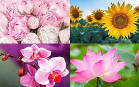 Biểu dương 02 cá nhân là gương điển hình tiên tiến, người tốt, việc tốt trên các lĩnh vực