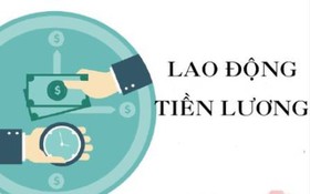 Phê duyệt 04 quy trình nội bộ, quy trình điện tử giải quyết thủ tục hành chính lĩnh vực Lao động, Tiền lương