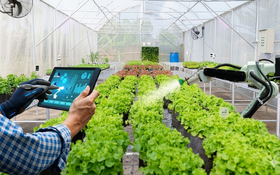 Hà Nội ban hành Kế hoạch ứng dụng IoT trong nông nghiệp thông minh
