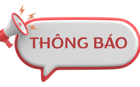 Thu hồi đất, chấm dứt hoạt động 24 dự án vốn ngoài ngân sách có sử dụng đất chậm triển khai