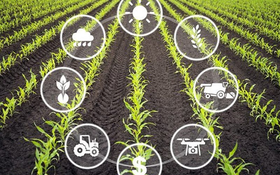 Ứng dụng IoT trong lĩnh vực nông nghiệp thông minh