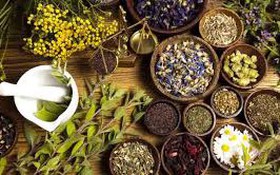 Phê duyệt phương án tái cấu trúc thủ tục hành chính lĩnh vực Y dược cổ truyền