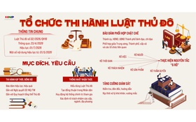 Tổ chức thi hành Luật Thủ đô