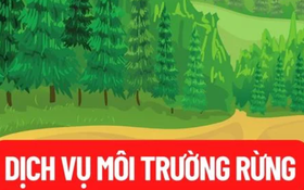 Phê duyệt Kế hoạch thu, chi tiền dịch vụ môi trường rừng năm 2026