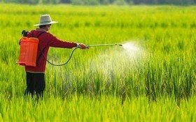 Phê duyệt quy trình nội bộ, quy trình điện tử giải quyết thủ tục hành chính lĩnh vực Trồng trọt và Bảo vệ thực vật