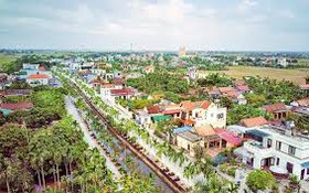 Phê duyệt quy trình nội bộ, quy trình điện tử giải quyết thủ tục hành chính lĩnh vực quy hoạch đô thị nông thôn, kiến trúc