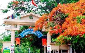 Quy định chức năng, nhiệm vụ, quyền hạn và cơ cấu tổ chức của Vườn quốc gia Ba Vì