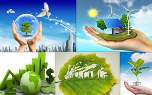 Hanoi sets up organizing committee for 2025 environmental protection communication program