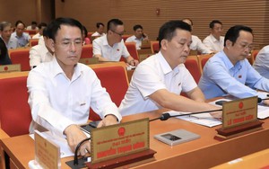 Hanoi approves policies to support agricultural zones affected by natural disasters