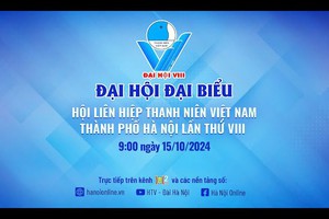 Khen thưởng thành tích xuất sắc trong phong trào thi đua chào mừng Đại hội đại biểu Hội Liên hiệp Thanh niên Việt Nam